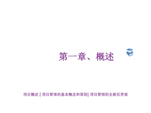 配套课件-项目管理.ppt