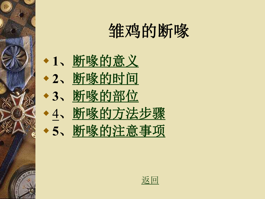 雏鸡的断喙与雌雄鉴别课件.ppt_第3页