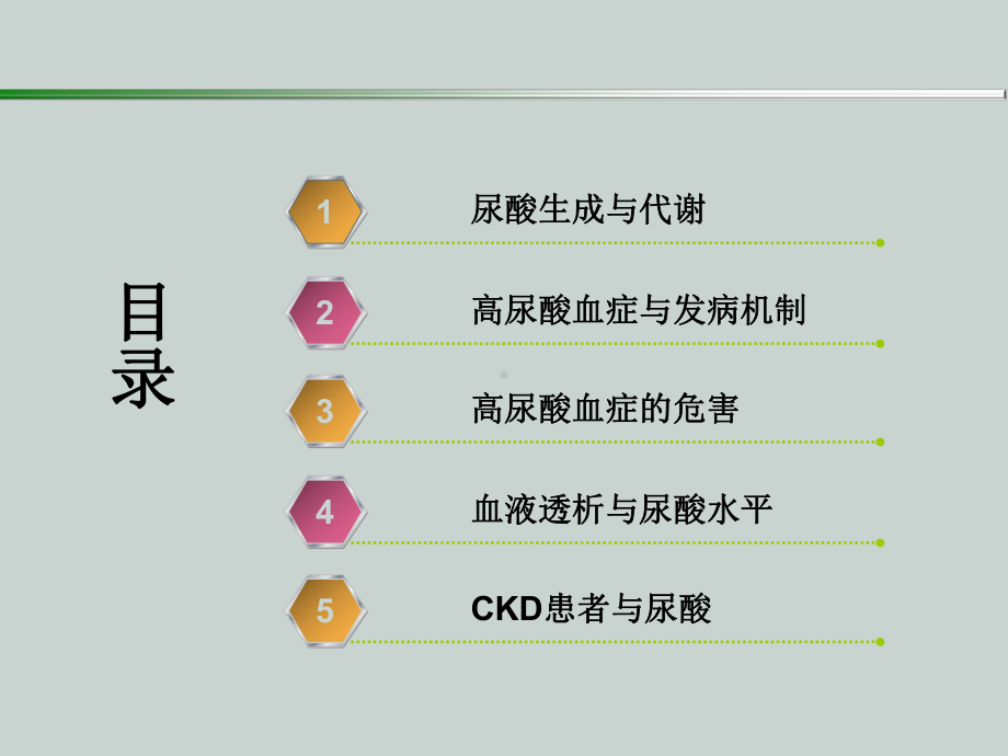 透析患者的尿酸代谢-精品课件.ppt_第2页