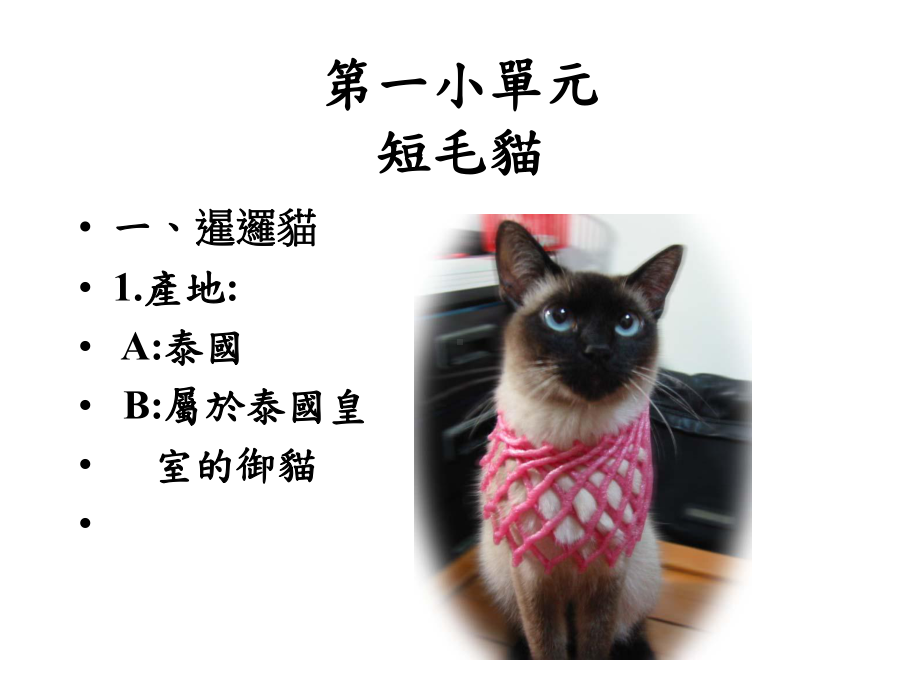 第四大单元猫的品种课件.ppt_第2页