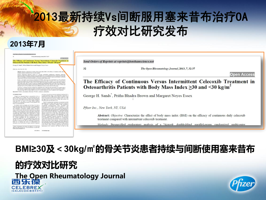 西乐葆持续Vs间断服用疗效比较课件.pptx_第2页