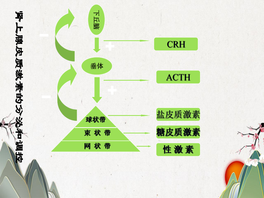 长期应用糖皮质激素治疗患者的麻醉注意事项课件.pptx_第3页