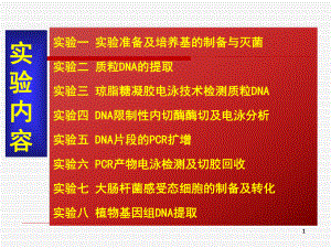 试验三琼脂糖凝胶电泳技术检测质粒DNA课件.ppt