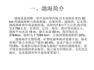 渤海水污染专题报告分析课件.ppt