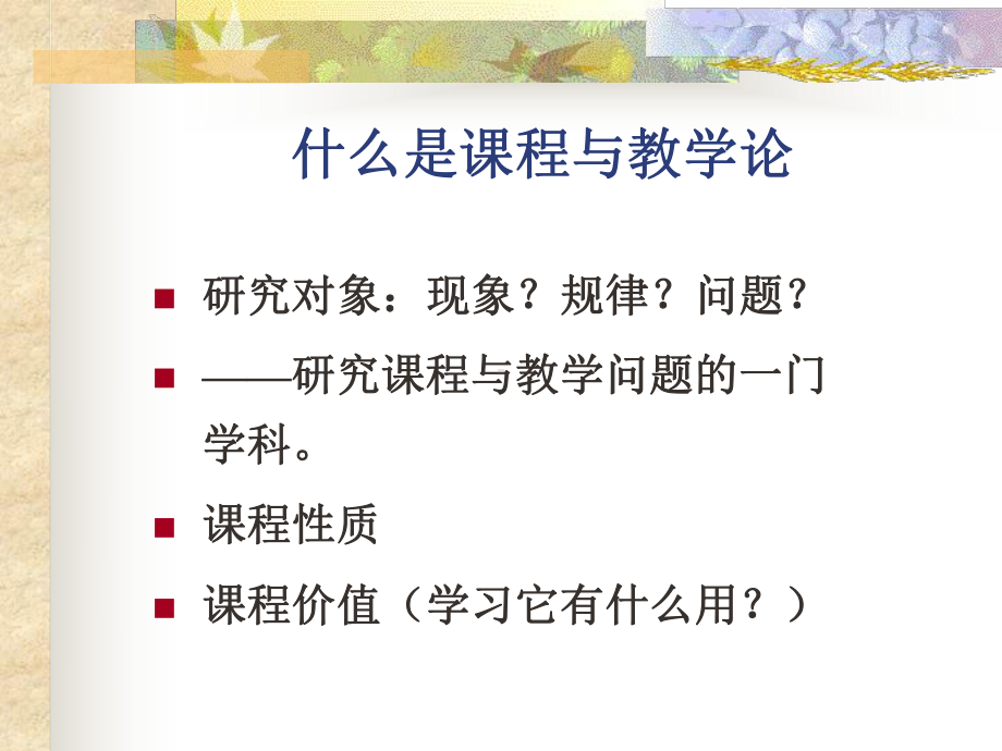 课程与教学概念与课程与教学观课件.ppt_第3页