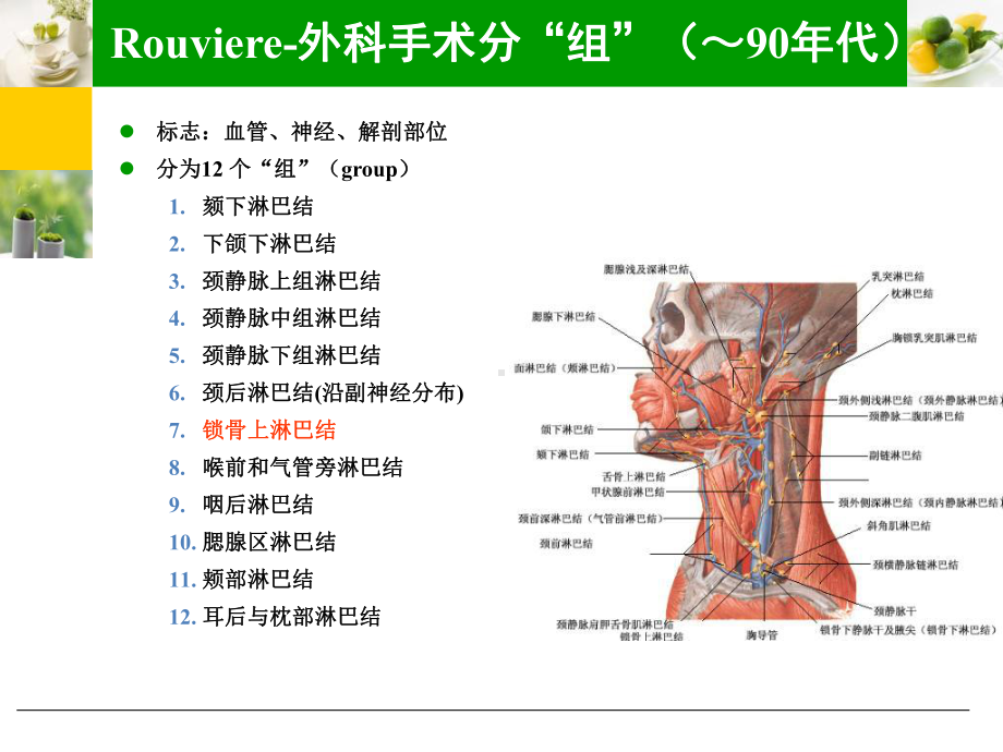 颈部淋巴结分区的概念及演变课件.ppt_第2页