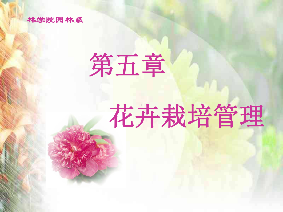 花卉栽培管理课件.ppt_第1页