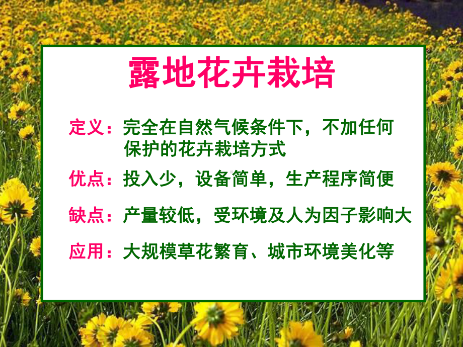 花卉栽培管理课件.ppt_第3页