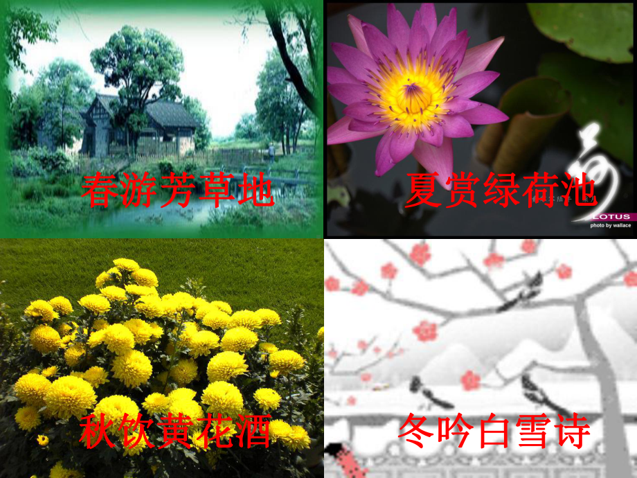 观察和描写景物的特征课件.ppt_第1页