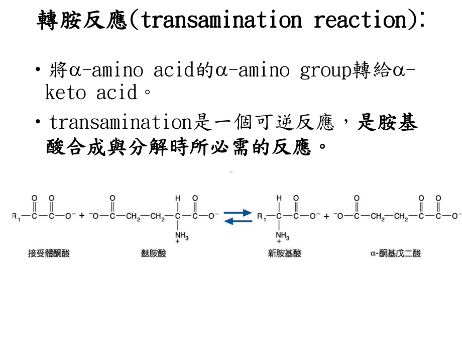 胺基酸的代谢生合成biosynthesisofaminoacid课件.ppt_第3页