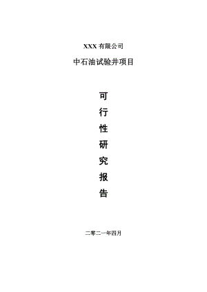 中石油试验井项目可行性研究报告案例.doc