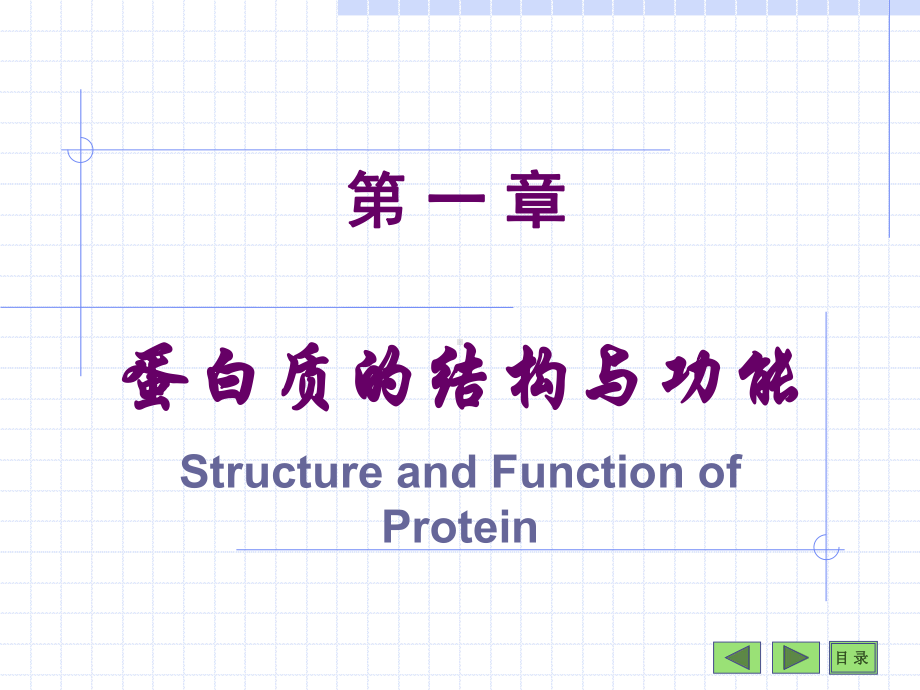 蛋白质的结构与功能-生物化学与分子生物学课件.ppt_第2页