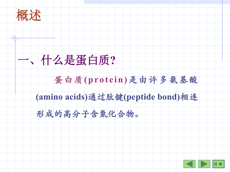 蛋白质的结构与功能-生物化学与分子生物学课件.ppt_第3页