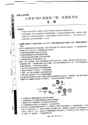 江西省学校联考2023届高三7月第一次摸底测试生物试题及答案.pdf