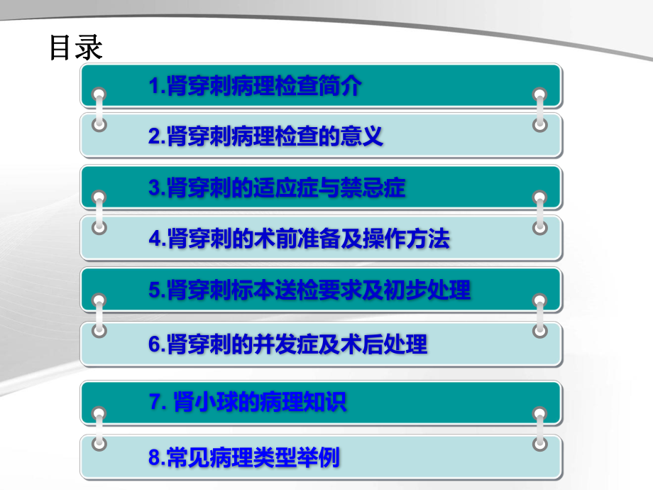 肾穿刺活检术（可编辑的PPT）课件.ppt_第3页