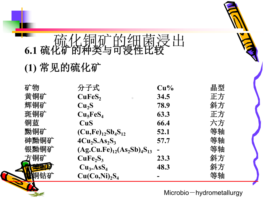 辉铜矿的浸出课件.ppt_第2页