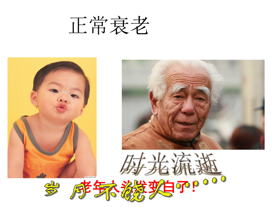 细胞衰老凋亡课件.ppt_第2页