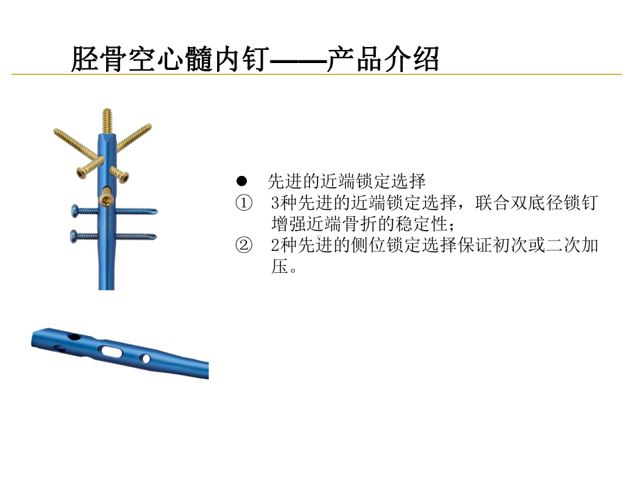 领航者系列-胫骨空心髓内钉课件.pptx_第3页