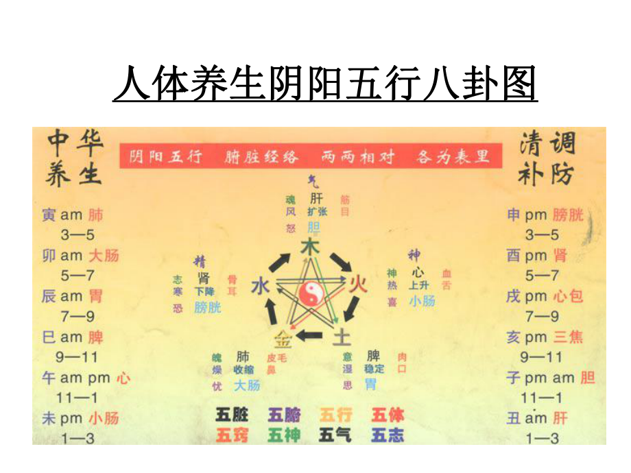 阴阳五行与养生pp课件.ppt_第2页