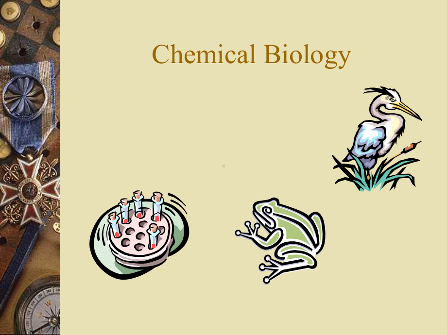 结构生物学第一讲-举例1-化学生物学课件.ppt_第2页