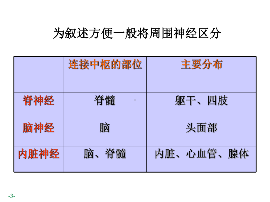 系统解剖学课件：周围神经.ppt_第3页