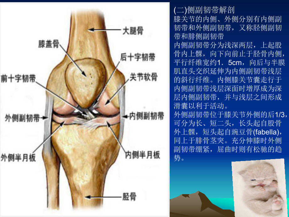 膝关节镜手术后康复ppt课件.ppt_第3页