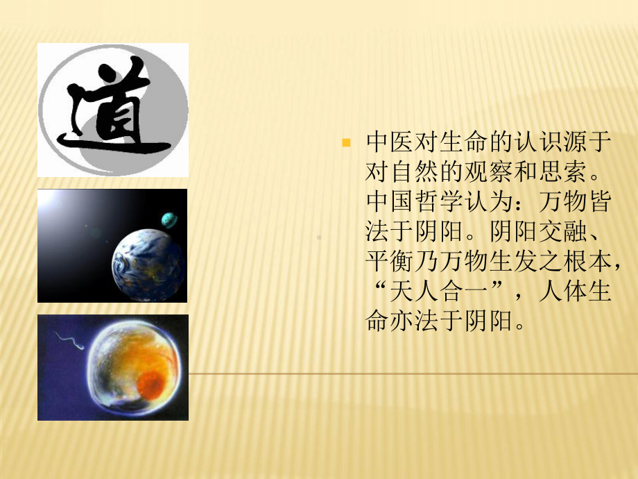 精选中医基础知识课件.ppt_第2页