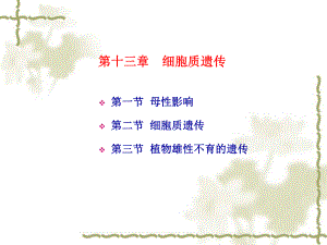 遗传学课件第十三章-细胞质遗传.ppt