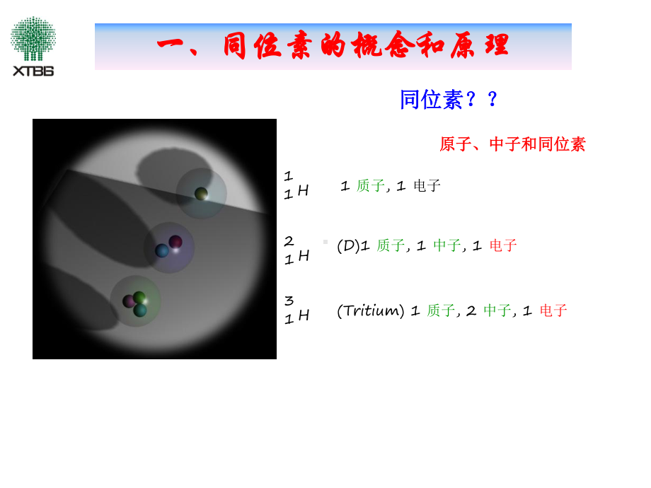 自然界碳同位素变化稳定课件.ppt_第2页