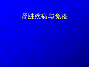 肾脏疾病与免疫课件.ppt