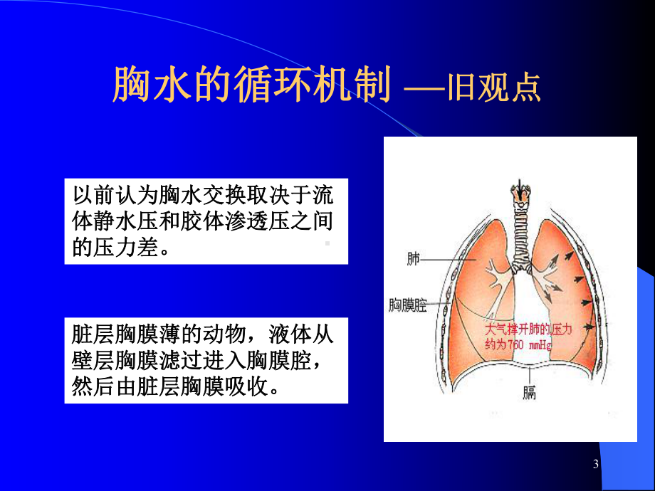 胸腔积液的诊断和鉴别诊断及结核性胸膜炎的治疗--科室讲座（可编辑的PPT）课件.ppt_第3页