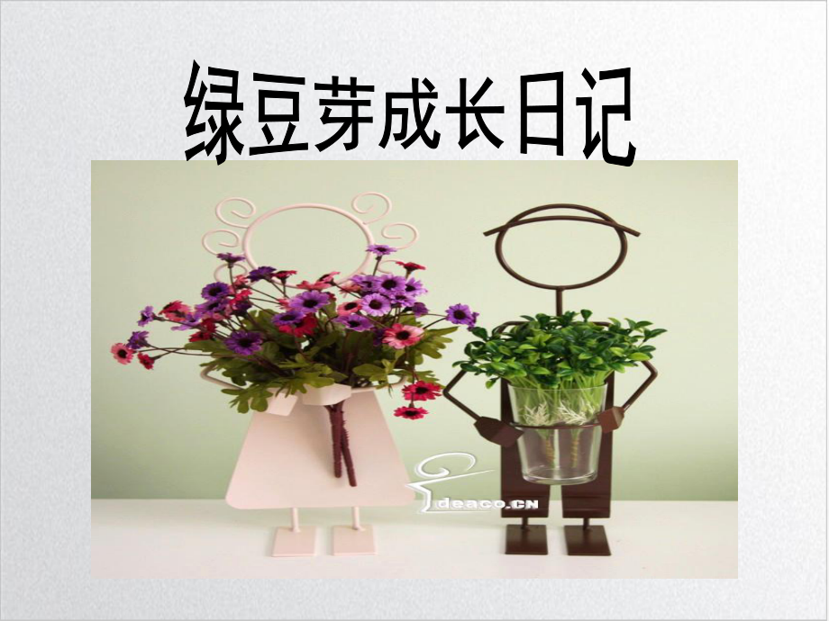 绿豆芽观察日记ppt课件.ppt_第3页