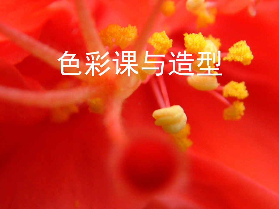 色彩与造型课件.ppt_第1页