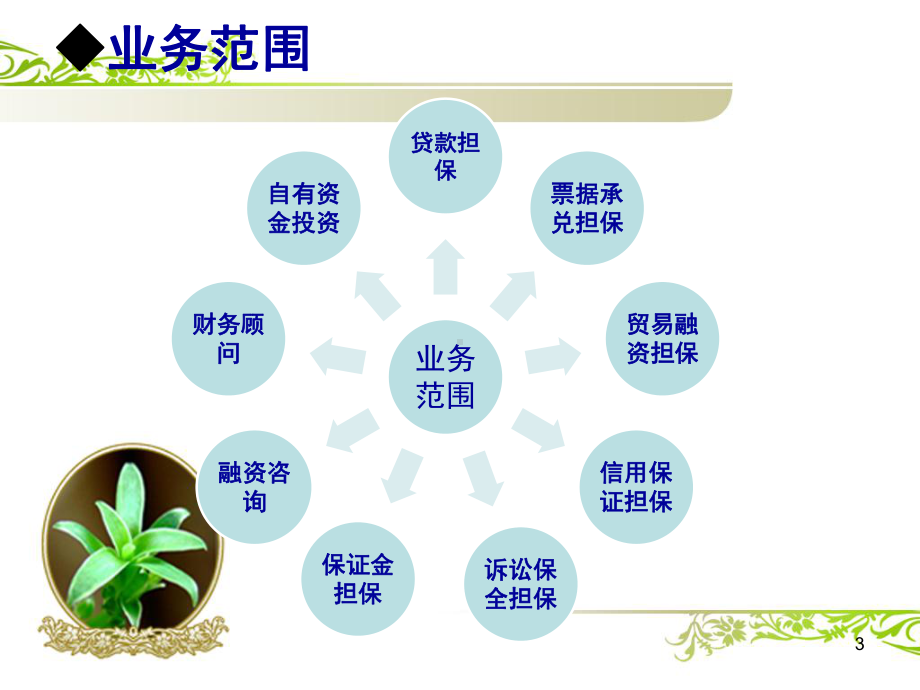 融资担保体系建设课件.ppt_第3页