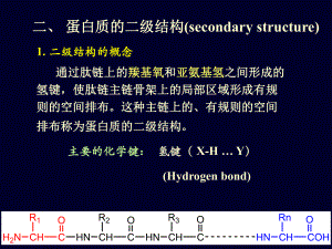 蛋白质化学生物化学清晰易学版课件.ppt