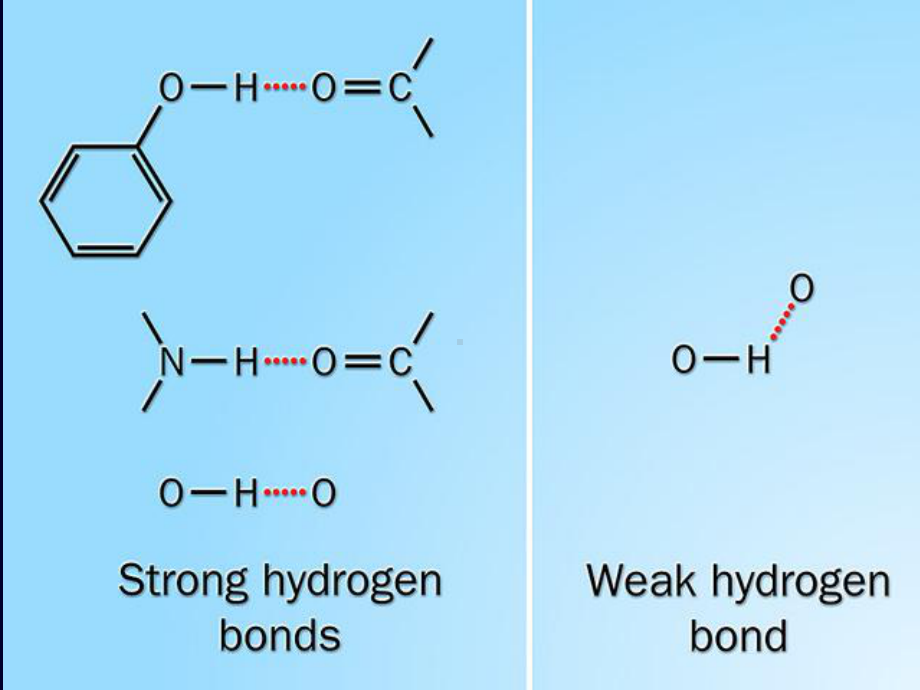 蛋白质化学生物化学清晰易学版课件.ppt_第3页