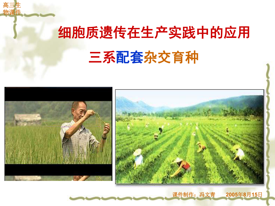 细胞质遗传在生产实践中的应用课件.ppt_第1页