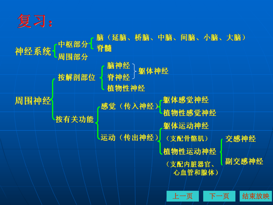 精选动物生理学第十章神经系统课件.ppt_第2页