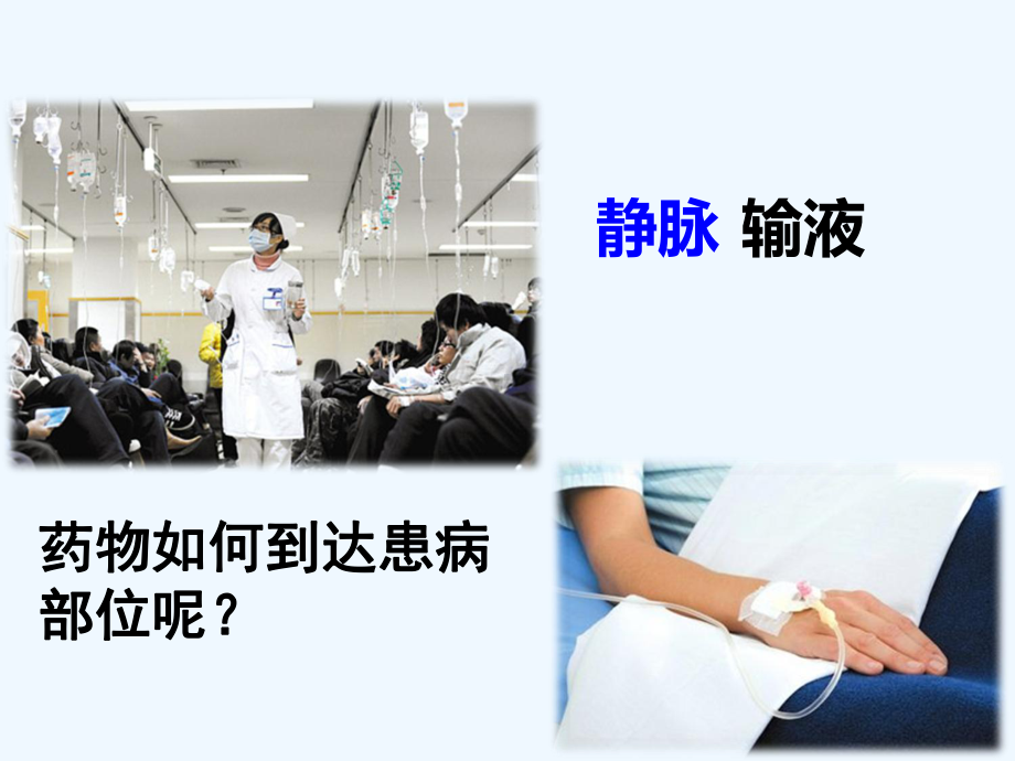 输送血液的泵-心脏-第二课时课件.ppt_第1页