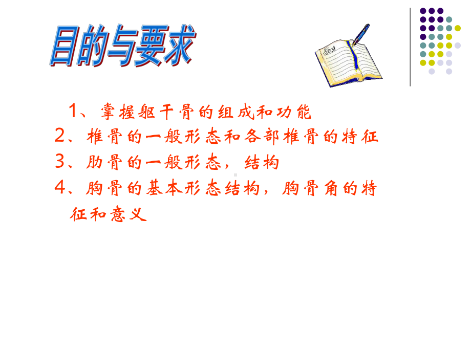 躯干骨1-人体解剖学课件.ppt_第2页