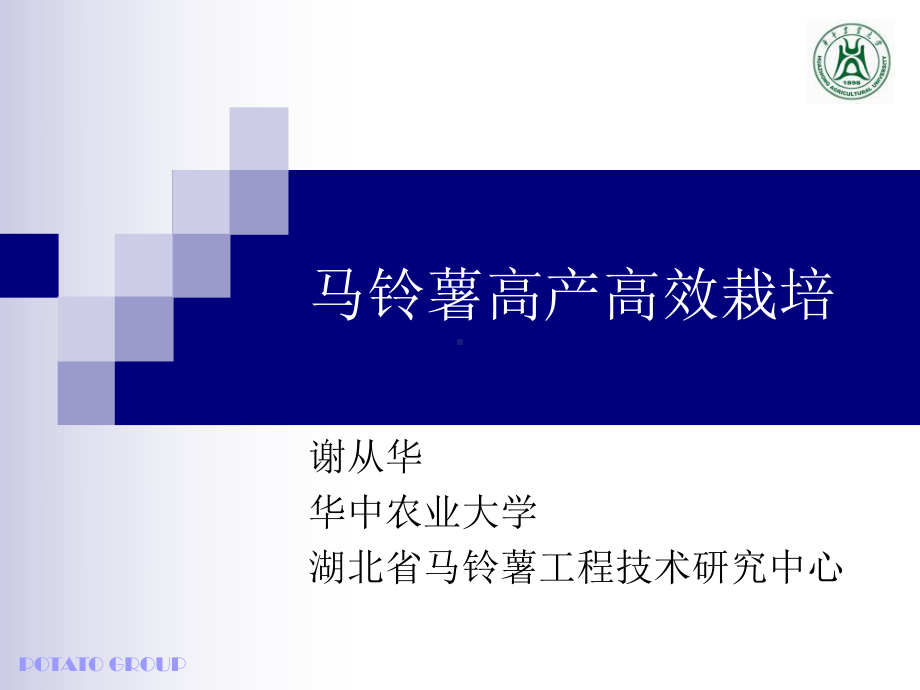 马铃薯高产高效栽培课件.ppt_第1页