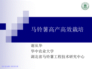 马铃薯高产高效栽培课件.ppt