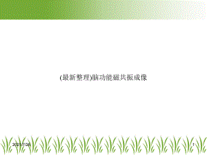 脑功能磁共振成像课件.ppt