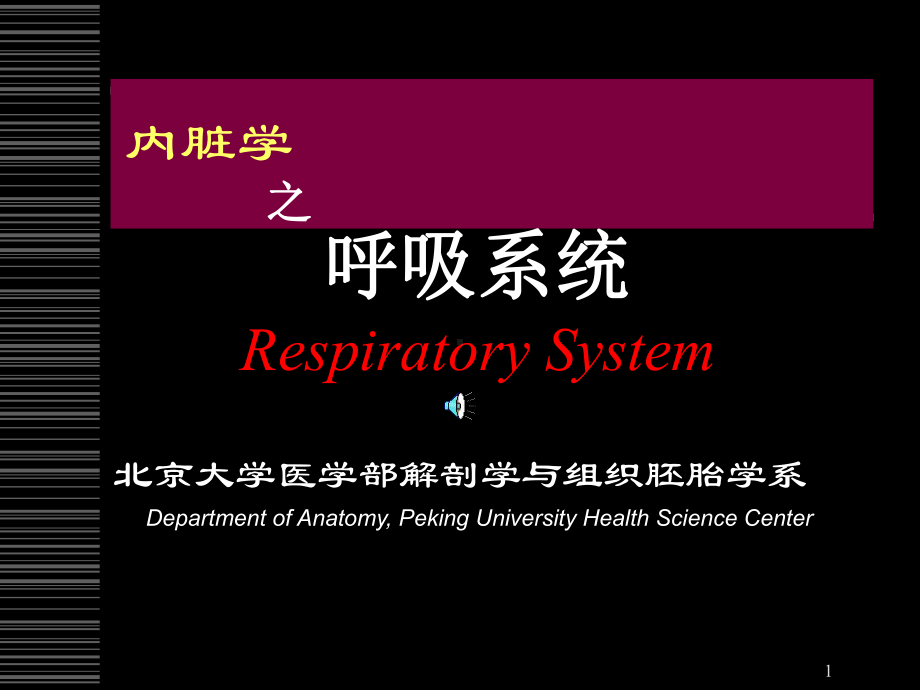 解剖课件-呼吸系统-解剖学与组织胚胎学系.ppt_第1页