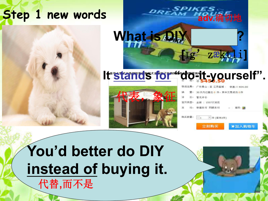 译林牛津版-8A-Unit-4-Do-it-yourself-welcome-to-the-unit-教学课件共35张PPT.ppt_第2页