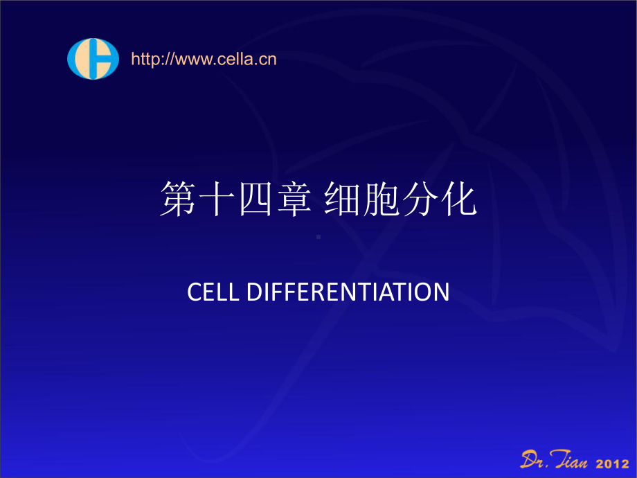 细胞分化与凋亡课件.ppt_第1页