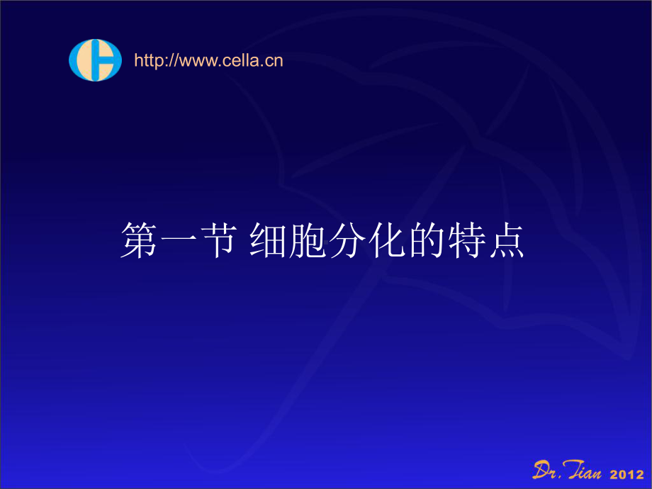 细胞分化与凋亡课件.ppt_第3页