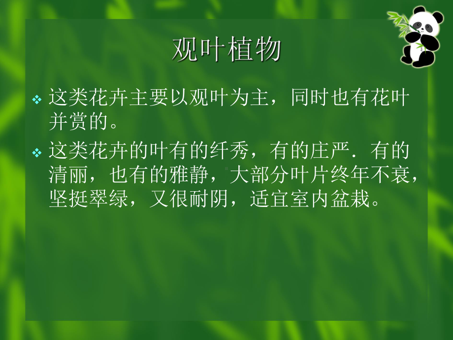 花卉鉴赏-观叶植物课件.ppt_第2页