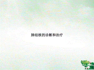 肺结核的诊断和治疗PPT课件.ppt