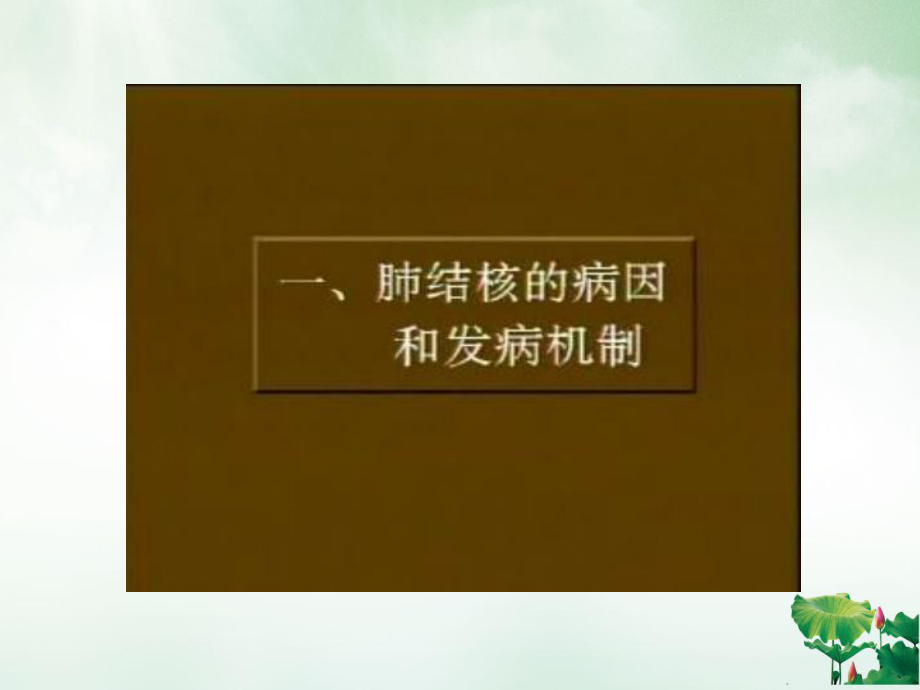 肺结核的诊断和治疗PPT课件.ppt_第3页